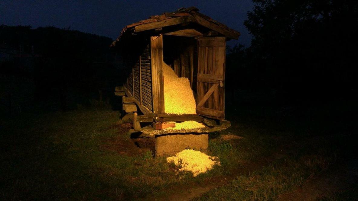 Апартаменты Casa Do Pacio Sabadelle Луго Экстерьер фото
